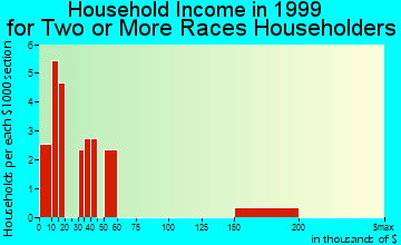 Anniston household income for two or more races householders