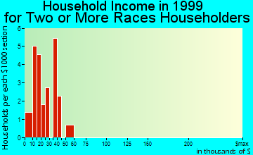 Libby household income for two or more races householders