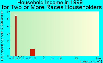 Culbertson household income for two or more races householders