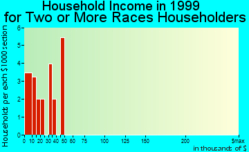 South Sioux City household income for two or more races householders