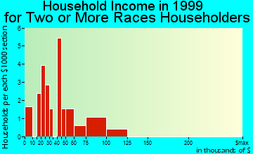Elko household income for two or more races householders