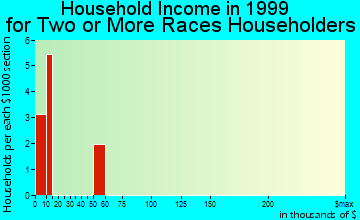 Magnolia household income for two or more races householders