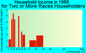 East Rutherford household income for two or more races householders