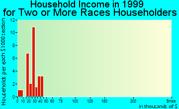 Flemington household income for two or more races householders