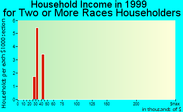 Margate City household income for two or more races householders