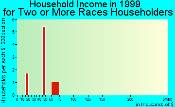 Rockaway household income for two or more races householders