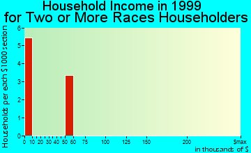 Jarales household income for two or more races householders
