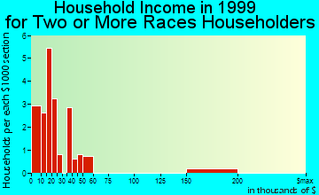 Silver City household income for two or more races householders