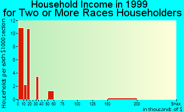 Socorro household income for two or more races householders