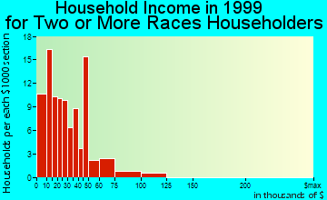 South Valley household income for two or more races householders