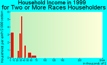 Amsterdam household income for two or more races householders