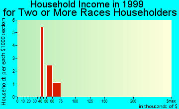Blasdell household income for two or more races householders