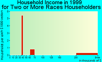 Blue Point household income for two or more races householders