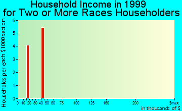 Brockport household income for two or more races householders