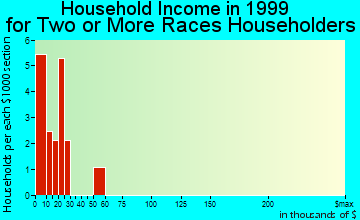 Dunkirk household income for two or more races householders