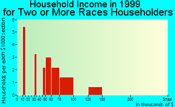 Farmingdale household income for two or more races householders