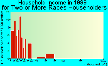 Rogers household income for two or more races householders