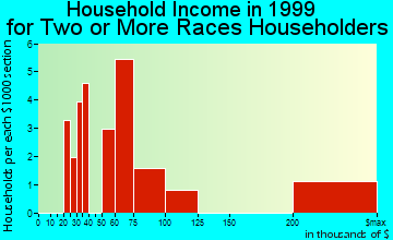 Levittown household income for two or more races householders