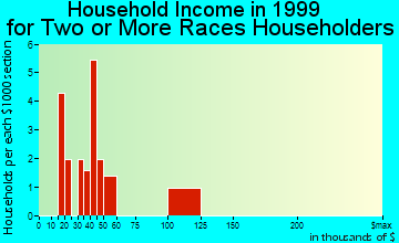 Nyack household income for two or more races householders