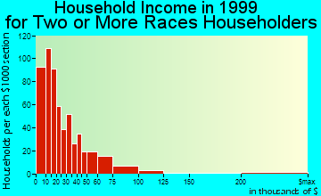 Rochester household income for two or more races householders
