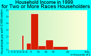 South Farmingdale household income for two or more races householders
