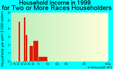 Wappingers Falls household income for two or more races householders