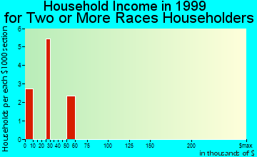 Warren household income for two or more races householders