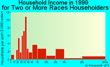 Belmont household income for two or more races householders