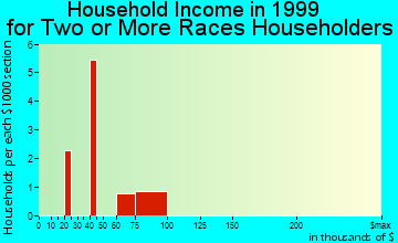 Blue Ash household income for two or more races householders