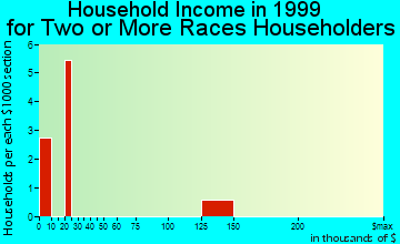 Matamoras household income for two or more races householders