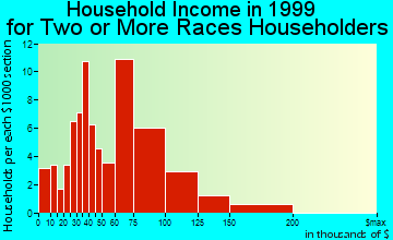 Camarillo household income for two or more races householders