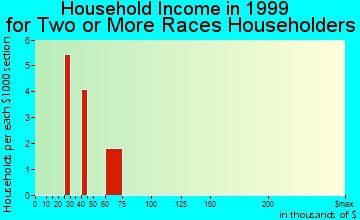 Bushyhead household income for two or more races householders