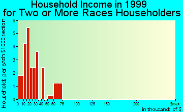 Fairfax household income for two or more races householders