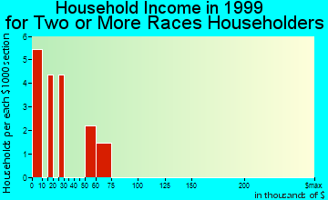 Fort Towson household income for two or more races householders