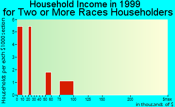Bay City household income for two or more races householders