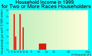 Castle Shannon household income for two or more races householders