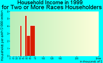 Horsham household income for two or more races householders