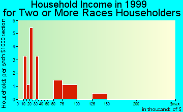 Ferndale household income for two or more races householders