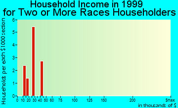 Monongahela household income for two or more races householders