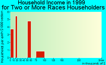 West Mifflin household income for two or more races householders