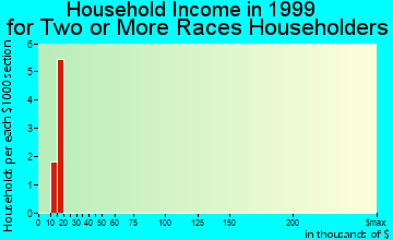 Bruceton household income for two or more races householders