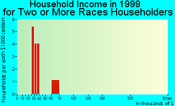 Bridge City household income for two or more races householders