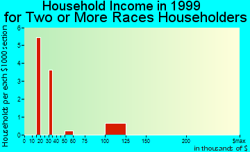 Canutillo household income for two or more races householders
