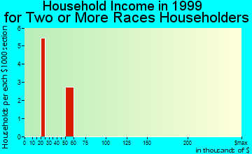Damon household income for two or more races householders