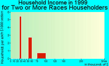 Holiday Lakes household income for two or more races householders
