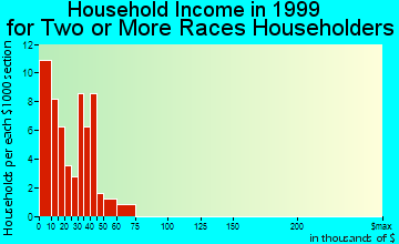 Paris household income for two or more races householders