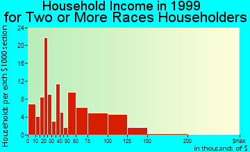 Richardson household income for two or more races householders