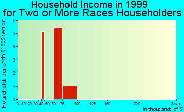 Vidor household income for two or more races householders