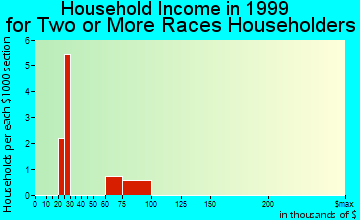 Brigham City household income for two or more races householders