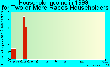 Island Pond household income for two or more races householders